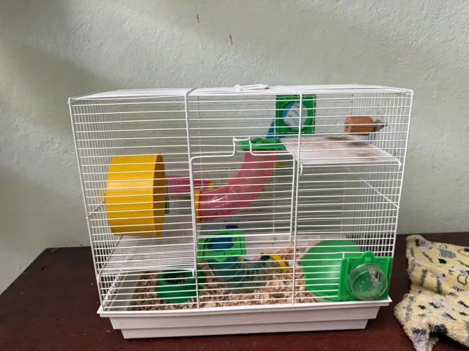 Gaiola de hamster