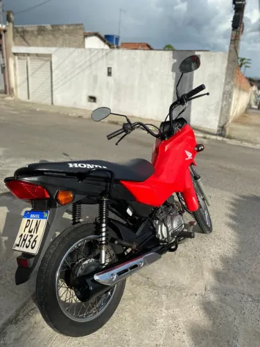 Pop 2019/ oportunidade 