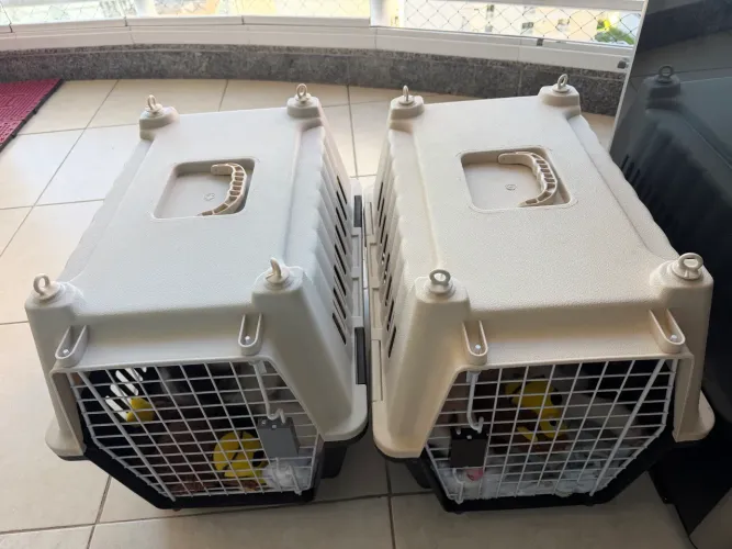 Duas Caixas de Transporte para animais de pequeno porte Nº 3