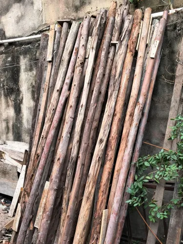 ESCORAS DE EUCALIPTO