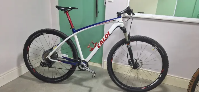 Bike Caloi Elite Carbon Team