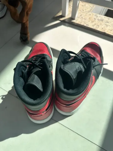 Jordan 44