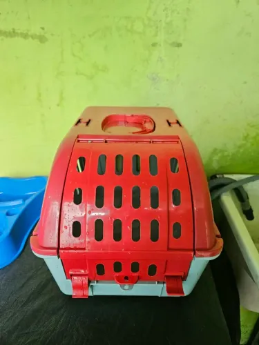 Caixa de transporte para gato