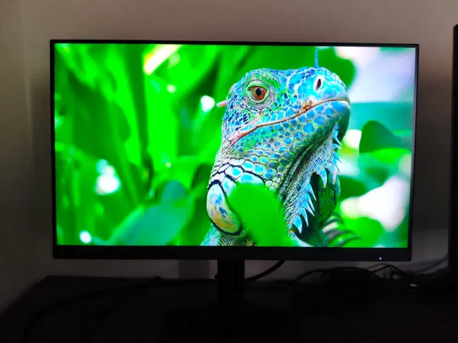 Monitor Gamer AOC Legend G4/24 polegadas/180Hz/IPS/0,5ms/Base ergonômica (Estado de novo)
