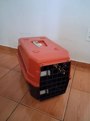 Caixa Transporte Pets Anapolis