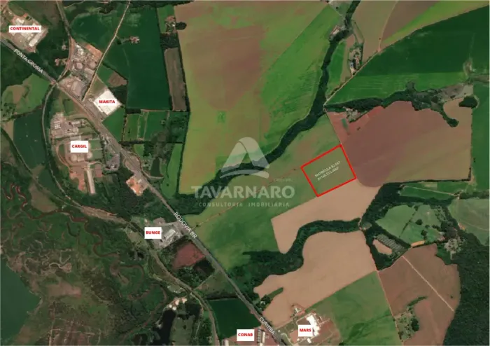 Terreno Área em Ponta Grossa