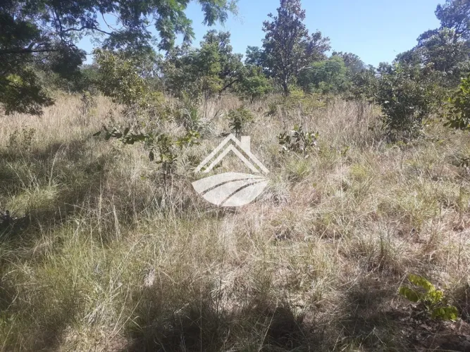 Fazenda para Venda em Lizarda