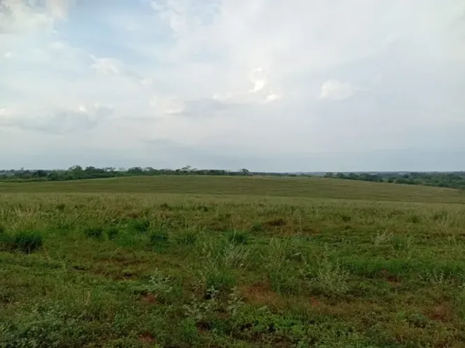 ÁREA RURAL PARA ARRENDAMENTO