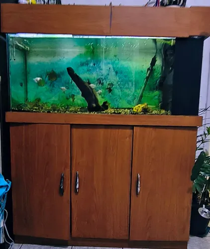 Aquário 220 litros completo com móvel 