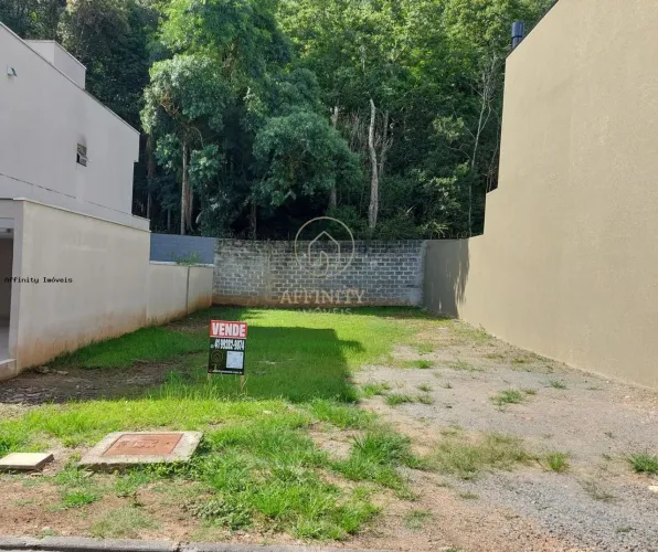 Terreno para Venda em Colombo, Campo Pequeno