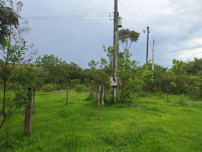 A&M IMOVEIS VENDE BELISSIMA FAZENDA COM 28ALQUEIRES A 48KM DE ALVORADA DO NORTE