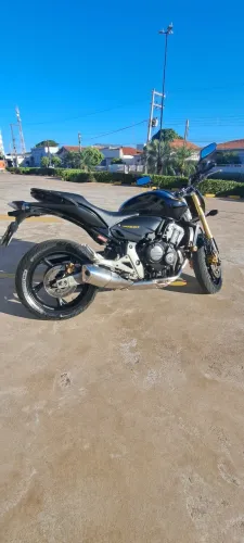 Hornet 2010