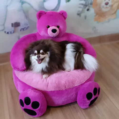 CAMA PET URSO DE PELÚCIA