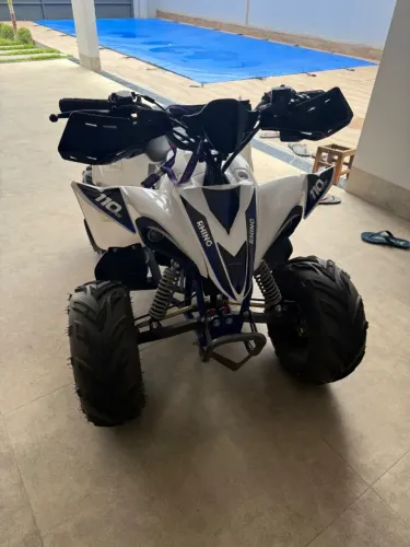 Vendo Quadriciclo Rhino 110 cc