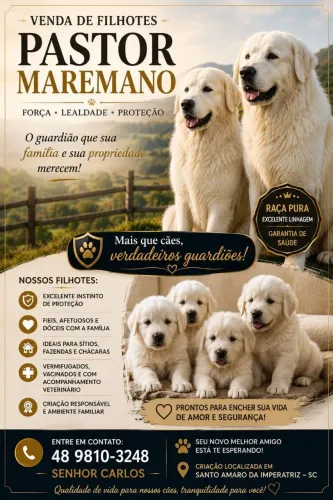 Cachorro Pastor Maremano