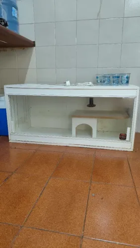 Terrário