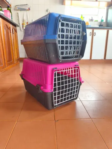 Caixa de transporte - Gato
