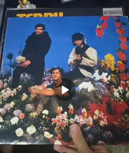 Lote de disco de Vinil - diversos artistas e gêneros