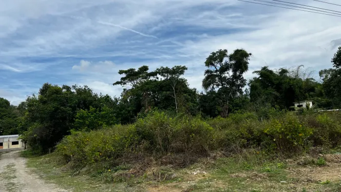 VENDO TERRENO EM QUEIMADOS 30x60