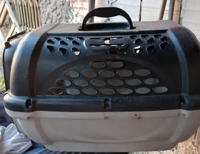Caixa de Transporte para Cães e Gatos de Pequeno Porte - Pet com Alça, Ventilação e Travas