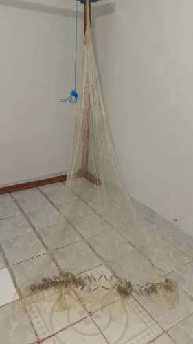 TARRAFA SAUNEIRA E OUTROS PEIXES ? 