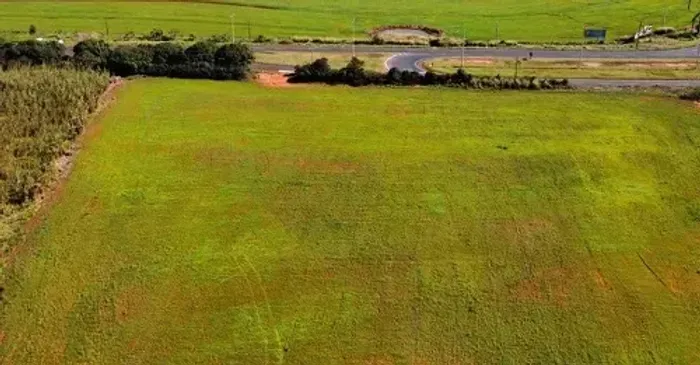 ÁREA PARA AVIÁRIO - Área Rural 6.64 alqueires