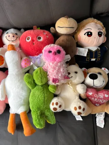 LOTE DE PELUCIAS NOVOS