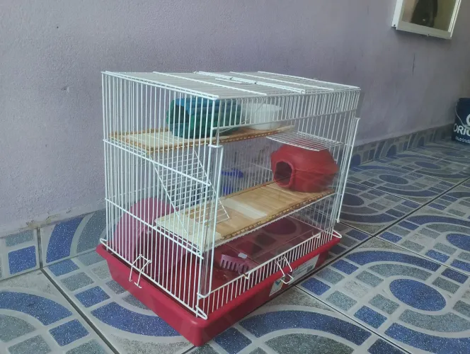 Gaiola para hamster semi nova 