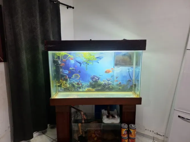 Aquário com acessórios