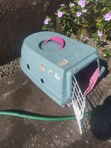 Caixa para transporte de gatos/ carro pequeno