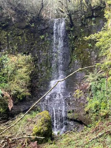 Chácara c CACHOEIRA  - 4 Hectares 20 % + 60X