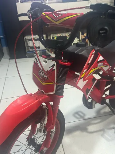 Bicicleta 