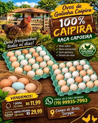 Ovos de capoeira 100% caipira