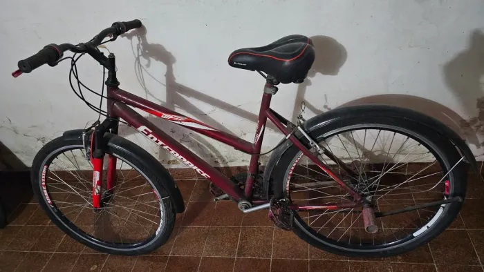 Bicicleta Enterprise Aro 26