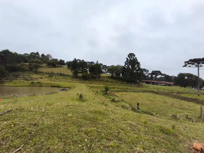 Sítio 30 alq/72,4 hectares urbano Quatro Barras/Piraquara Borda do Campo, ideal Hotel Faz
