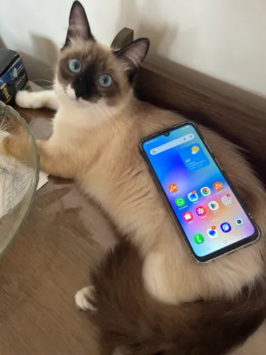 Celular Samsung A05S