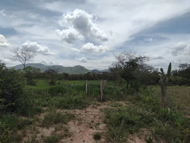Vendo meia tarefa de terra no povoado Ovo da Ema( São José)