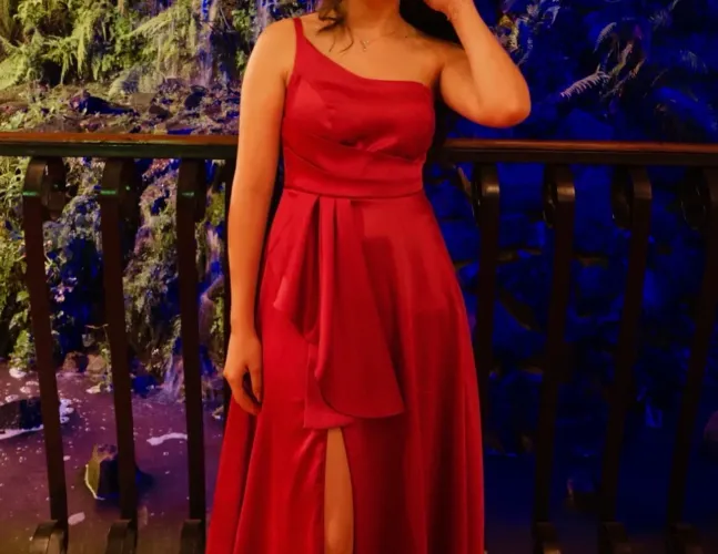 Vestido de Festa Rosa Longo
