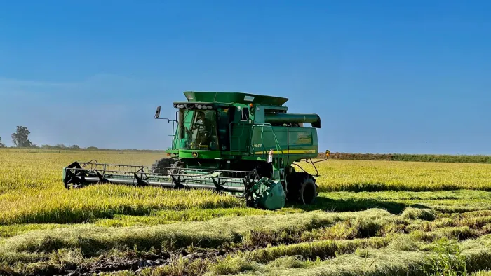 Colheitadeira jonh deere 9570 arrozeira 