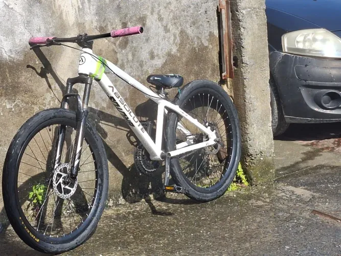Absolute brutus pro 2025