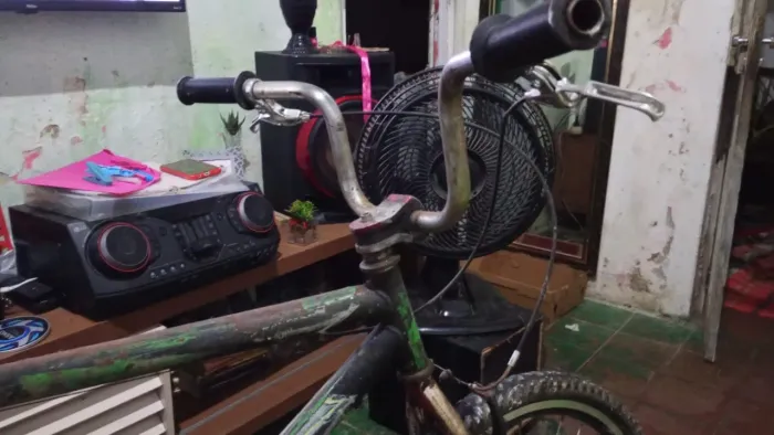 Bicicleta 