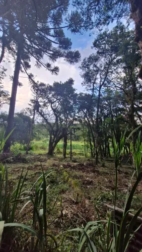 Vende-se chácara em tijucas do sul - br376