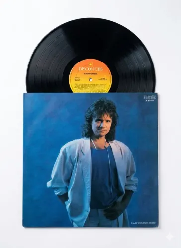 LP Roberto Carlos Vinil Original CBS - Ótimo Estado