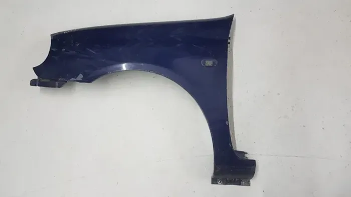 Paralama Esquerdo Clio 1999 2000 2001 2002 Original BG888