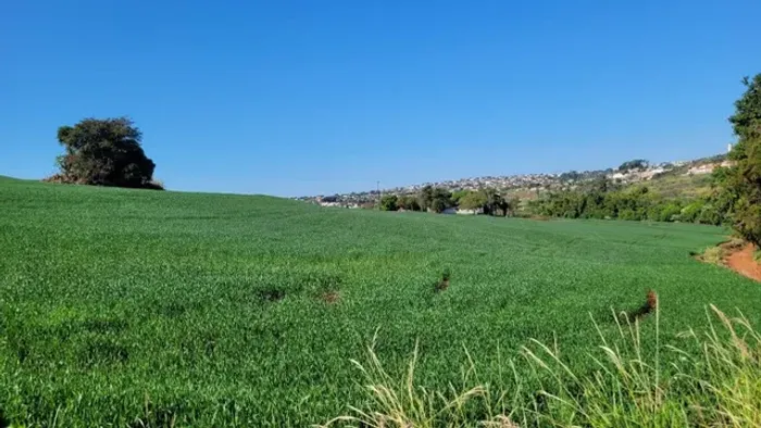 FAZENDINHA com 15 ALQUEIRES NO HEIMTAL- PRÓXIMO ZONA URANA