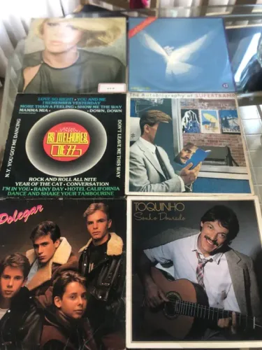 Vendo essa coleção de VINIS diversos cantores