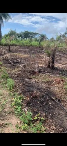 VENDE-SE EM VISTA LEGRE ( 12 minutos para maruda)