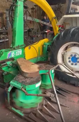 Forrageira Nogueira ZF 120 área total