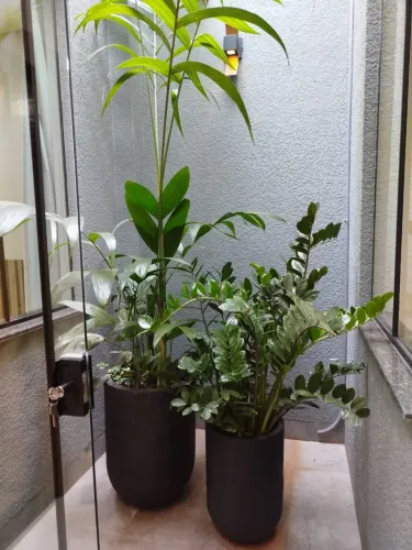 Vaso de Plantas