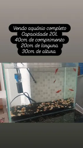 Aquário 20 litros